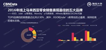 中国市场中的互联网数据资讯中心 199it 引领数据服务新时代