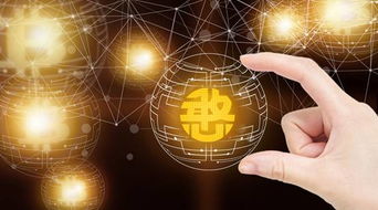 憨分数据拓展应用场景，共建区块链生态，推动互联网数据服务发展